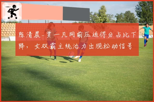 陈清晨_贾一凡网前压迫得分占比下降,女双霸主统治力出现松动信号
