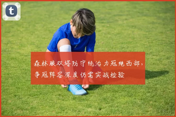 森林狼双塔防守统治力冠绝西部，争冠阵容深度仍需实战检验