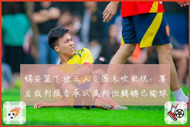 锡安篮下被三人合围未吹犯规，赛后裁判报告承认漏判但鹈鹕已输球无法挽回